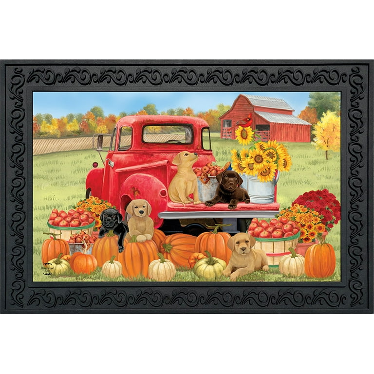 Briarwood Lane Give Thanks Dogs Thanksgiving Doormat Pet Humor Indoor/Outdoor 18 x 30 Briarwood Lane Give Thanks Dogs Thanksgiving Doormat Pet Humor Indoor/Outdoor 18 x 30